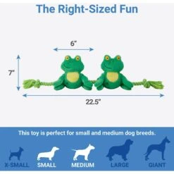 Frisco Magic Frog Plush With Rope Squeaky Dog Toy -Pet Supplies Discount Store 265606 PT1. AC SS1800 V1623352127