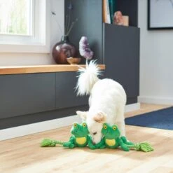 Frisco Magic Frog Plush With Rope Squeaky Dog Toy -Pet Supplies Discount Store 265606 PT3. AC SS1800 V1620938889