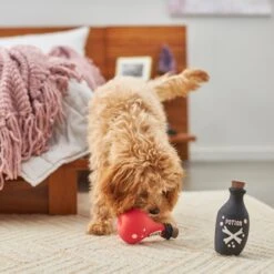 Frisco Magic Potions Latex Squeaky Dog Toy, 2 Count -Pet Supplies Discount Store 265632 PT3. AC SS1800 V1620939021