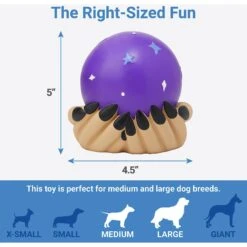 Frisco Magic Fortune Teller's Crystal Ball Latex Squeaky Dog Toy 6 Frisco Magic Fortune Teller's Crystal Ball Latex Squeaky Dog Toy -Pet Supplies Discount Store 265634 PT1. AC SS1800 V1623351758
