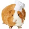 Frisco Chef Guinea Pig Costume Hat, One Size -Pet Supplies Discount Store 265887 MAIN. AC SS1800 V1624307870