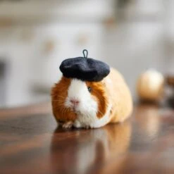 Frisco French Beret Guinea Pig Costume Hat, One Size 9 Frisco French Beret Guinea Pig Costume Hat, One Size -Pet Supplies Discount Store 265891 PT8. AC SS1800 V1624337078