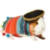 Frisco Serape Guinea Pig Costume, One Size -Pet Supplies Discount Store 265895 MAIN. AC SS1800 V1624304603