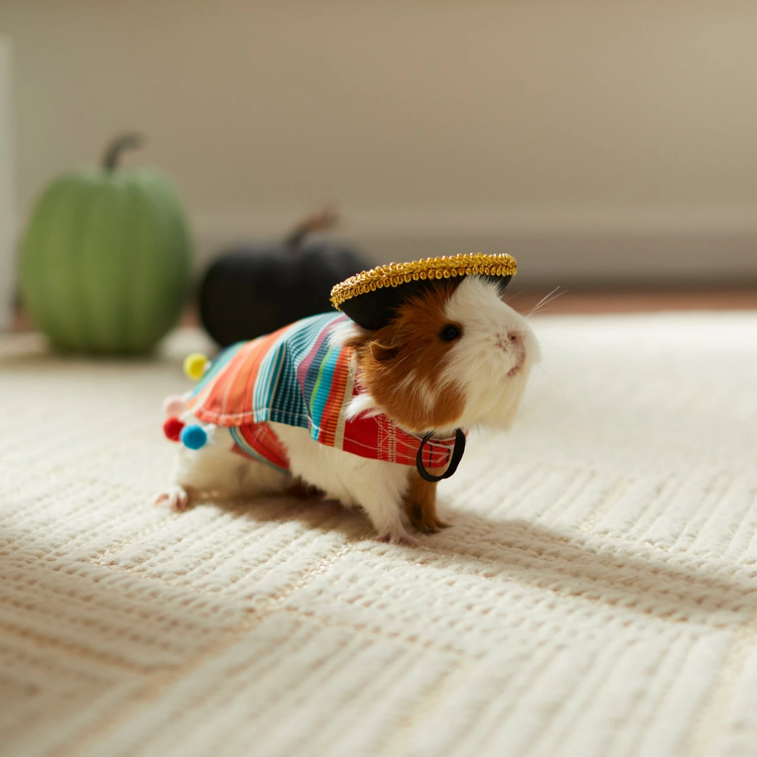 Frisco Serape Guinea Pig Costume, One Size 8 Frisco Serape Guinea Pig Costume, One Size - Image 6