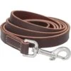 Frisco Top Grain Leather Leash 1 Frisco Top Grain Leather Leash -Pet Supplies Discount Store 266521 MAIN. AC SS1800 V1618855319