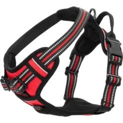 Frisco Padded Reflective Harness -Pet Supplies Discount Store 266770 PT4. AC SS1800 V1624548897