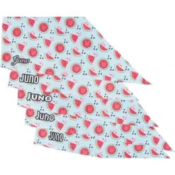 Frisco Watermelons Personalized Dog & Cat Bandana -Pet Supplies Discount Store 267458 PT4. AC SS1800 V1632428809