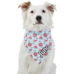Frisco Watermelons Personalized Dog & Cat Bandana -Pet Supplies Discount Store 267458 PT6. AC SS1800 V1632432415