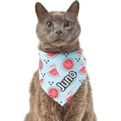 Frisco Watermelons Personalized Dog & Cat Bandana -Pet Supplies Discount Store 267458 PT7. AC SS1800 V1632432684