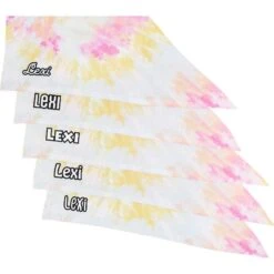 Frisco Tiedye Personalized Dog & Cat Bandana -Pet Supplies Discount Store 267482 PT4. AC SS1800 V1632416499