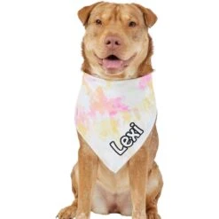 Frisco Tiedye Personalized Dog & Cat Bandana -Pet Supplies Discount Store 267482 PT6. AC SS1800 V1632428490