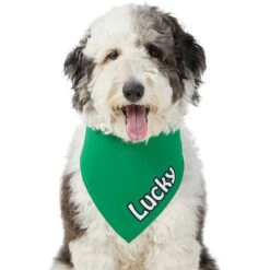 Frisco Solid Color Personalized Dog & Cat Bandana -Pet Supplies Discount Store 267489 PT6. AC SS1800 V1632418582