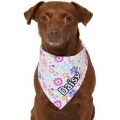 Frisco Bright Floral Personalized Dog & Cat Bandana -Pet Supplies Discount Store 267535 PT7. AC SS1800 V1623164573