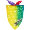 Frisco Rainbow Hearts Personalized Dog & Cat Bandana 2 Frisco Rainbow Hearts Personalized Dog & Cat Bandana -Pet Supplies Discount Store 267539 MAIN. AC SS1800 V1632683779
