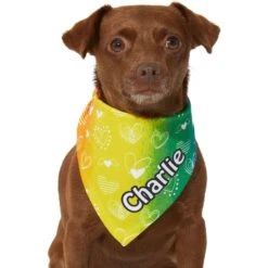 Frisco Rainbow Hearts Personalized Dog & Cat Bandana -Pet Supplies Discount Store 267539 PT5. AC SS1800 V1632432071