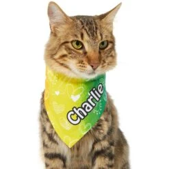 Frisco Rainbow Hearts Personalized Dog & Cat Bandana -Pet Supplies Discount Store 267539 PT6. AC SS1800 V1632420703