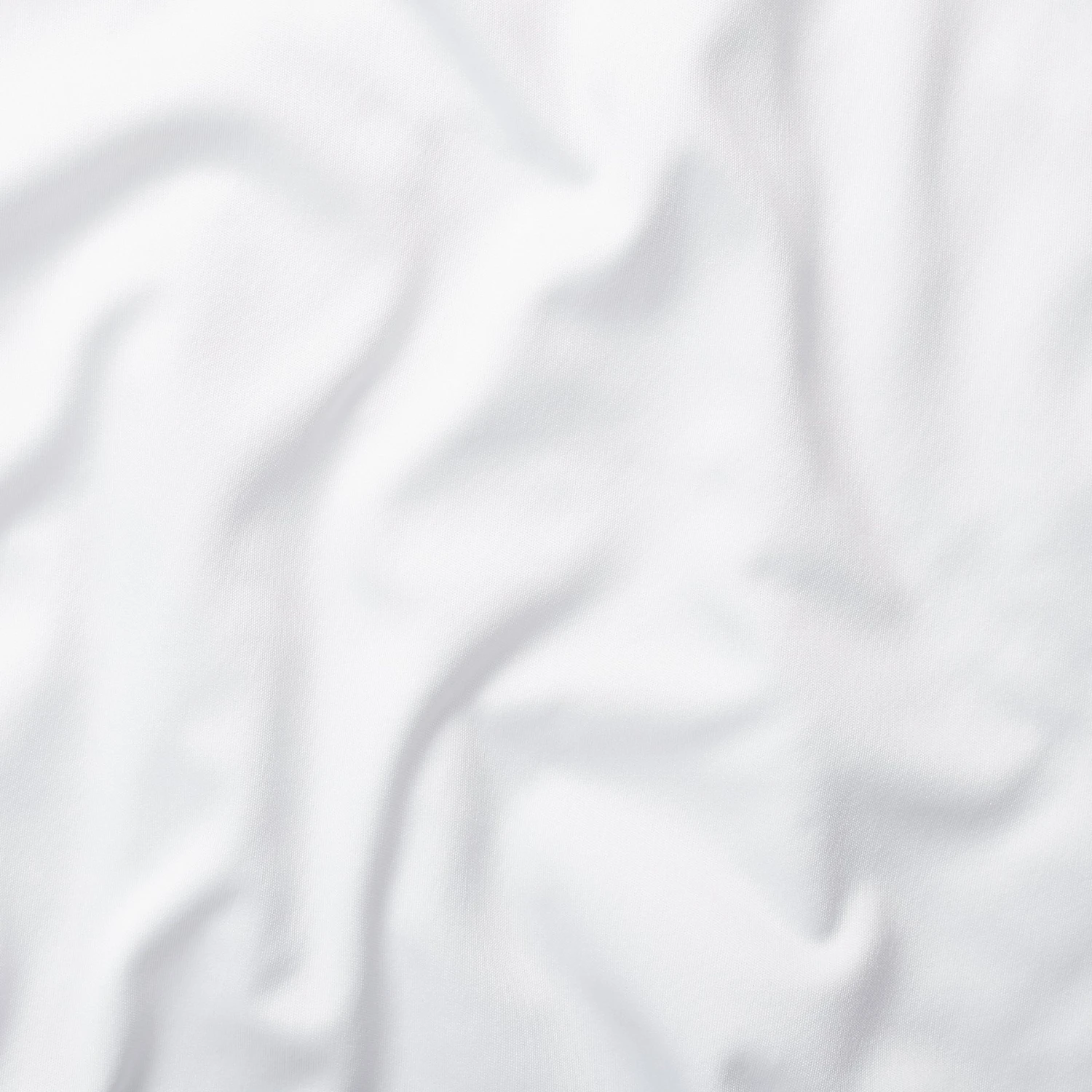 Frisco Cactus Personalized Dog & Cat Bandana 8 Frisco Cactus Personalized Dog & Cat Bandana - Image 6