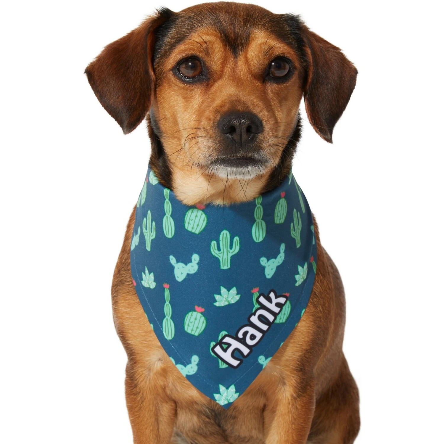 Frisco Cactus Personalized Dog & Cat Bandana 9 Frisco Cactus Personalized Dog & Cat Bandana - Image 7