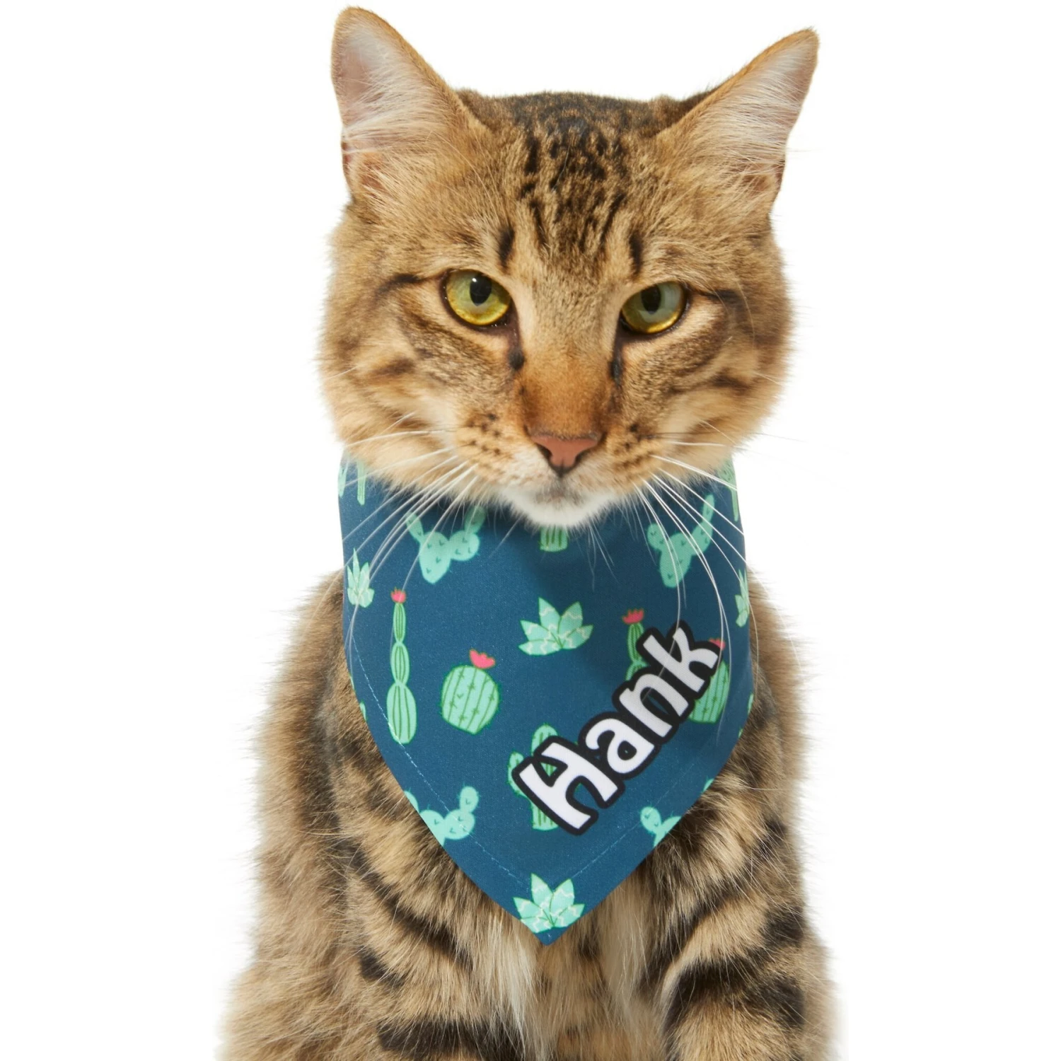 Frisco Cactus Personalized Dog & Cat Bandana 10 Frisco Cactus Personalized Dog & Cat Bandana - Image 8