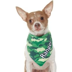 Frisco Green Camo Personalized Dog & Cat Bandana -Pet Supplies Discount Store 267563 PT7. AC SS1800 V1623182085