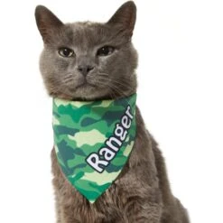 Frisco Green Camo Personalized Dog & Cat Bandana -Pet Supplies Discount Store 267563 PT8. AC SS1800 V1623182074