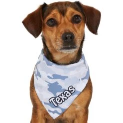 Frisco Gray Camo Personalized Dog & Cat Bandana 16 Frisco Gray Camo Personalized Dog & Cat Bandana -Pet Supplies Discount Store 267571 PT7. AC SS1800 V1623164679