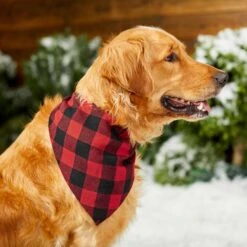 Red Buffalo Plaid Dog & Cat Bandana 15 Red Buffalo Plaid Dog & Cat Bandana -Pet Supplies Discount Store 267899 PT5. AC SS1800 V1637666506