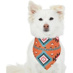 Frisco Southwest Dog & Cat Bandana 12 Frisco Southwest Dog & Cat Bandana -Pet Supplies Discount Store 267904 PT2. AC SS1800 V1637708793