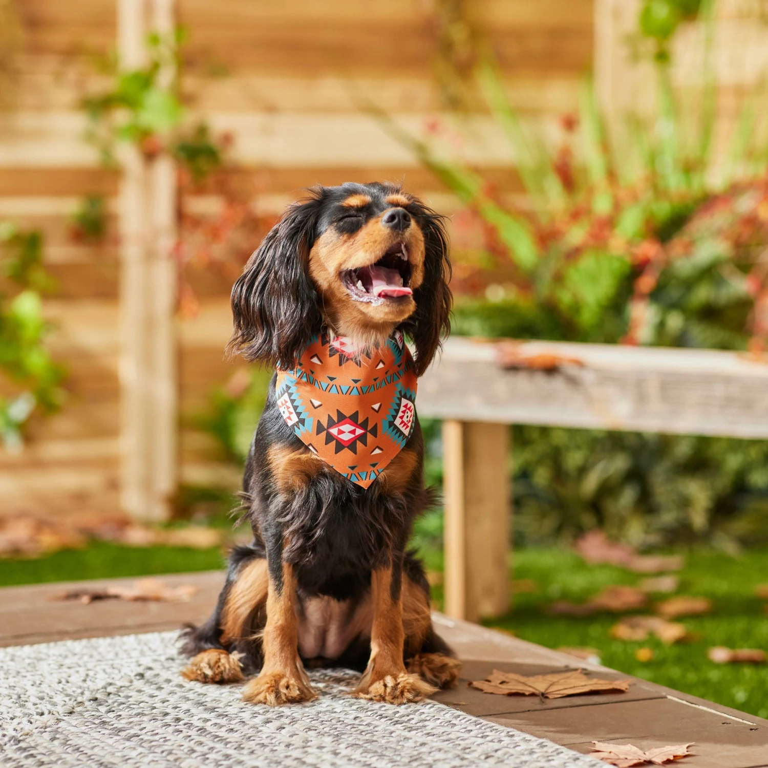 Frisco Southwest Dog & Cat Bandana 8 Frisco Southwest Dog & Cat Bandana - Image 6