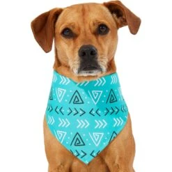 Frisco Geometric Dog & Cat Bandana 12 Frisco Geometric Dog & Cat Bandana -Pet Supplies Discount Store 267907 PT2. AC SS1800 V1637653589