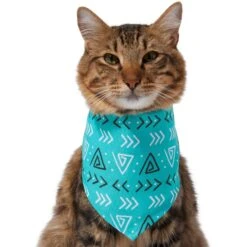 Frisco Geometric Dog & Cat Bandana 13 Frisco Geometric Dog & Cat Bandana -Pet Supplies Discount Store 267907 PT3. AC SS1800 V1637678544