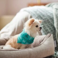 Frisco Geometric Dog & Cat Bandana 15 Frisco Geometric Dog & Cat Bandana -Pet Supplies Discount Store 267907 PT5. AC SS1800 V1637652153