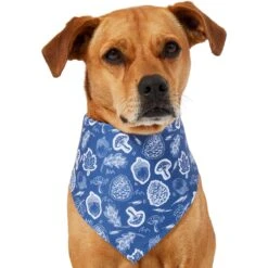 Frisco Fall Vibes Dog & Cat Bandana -Pet Supplies Discount Store 267913 PT2. AC SS1800 V1637722647