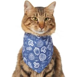 Frisco Fall Vibes Dog & Cat Bandana -Pet Supplies Discount Store 267913 PT3. AC SS1800 V1637729806