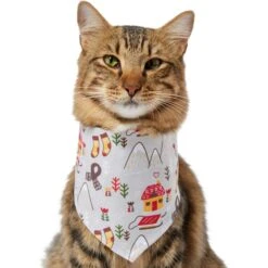 Frisco Wintry Vibes Dog & Cat Bandana 13 Frisco Wintry Vibes Dog & Cat Bandana -Pet Supplies Discount Store 267916 PT3. AC SS1800 V1637657814