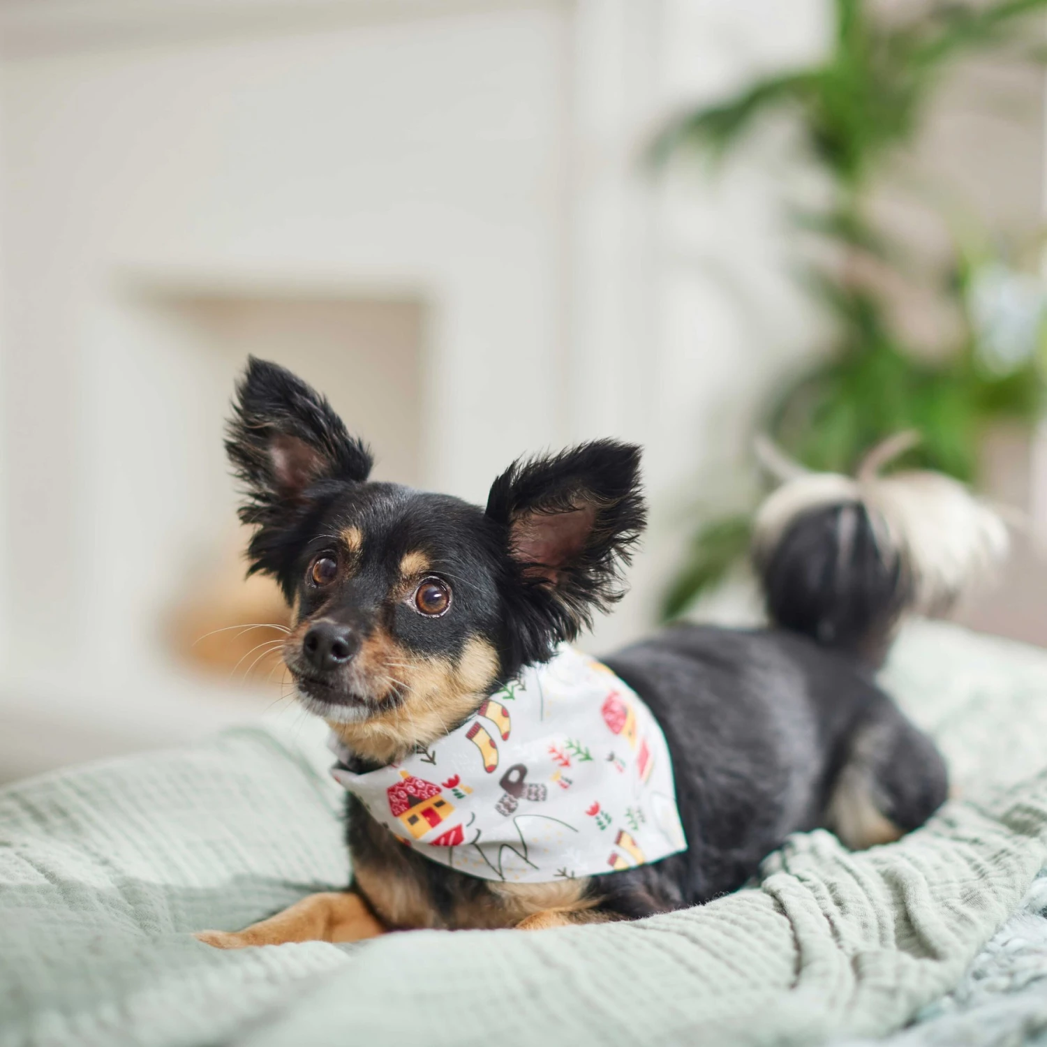 Frisco Wintry Vibes Dog & Cat Bandana 8 Frisco Wintry Vibes Dog & Cat Bandana - Image 6