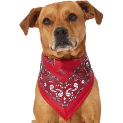 Frisco Red Paisley Dog & Cat Bandana -Pet Supplies Discount Store 267919 PT2. AC SS1800 V1637669854