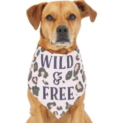 Frisco Pink Leopard Dog & Cat Bandana -Pet Supplies Discount Store 267922 PT2. AC SS1800 V1637646441
