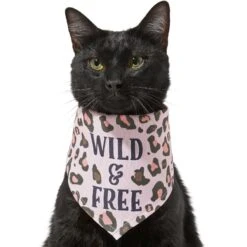 Frisco Pink Leopard Dog & Cat Bandana -Pet Supplies Discount Store 267922 PT3. AC SS1800 V1637687868