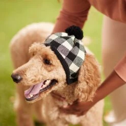Frisco Plaid Dog & Cat Knitted Hat -Pet Supplies Discount Store 267925 PT8. AC SS1800 V1629755603
