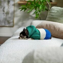 Frisco Colorblock Dog & Cat Hoodie With Sleeves -Pet Supplies Discount Store 267968 PT6. AC SS1800 V1637715446