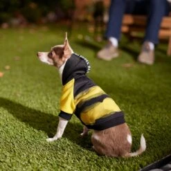 Frisco Rebel Dog & Cat Hoodie -Pet Supplies Discount Store 267994 PT8. AC SS1800 V1629758309