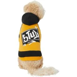 Frisco Stud Dog & Cat Hoodie -Pet Supplies Discount Store 268002 PT2. AC SS1800 V1637687010