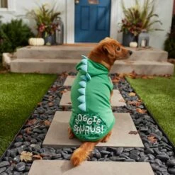 Frisco Doggiesaurus Dog & Cat Hoodie, Green -Pet Supplies Discount Store 268033 PT6. AC SS1800 V1637671011
