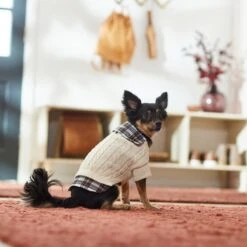 Frisco Cream Cable Knit Dog & Cat Sweater, White/Red Plaid -Pet Supplies Discount Store 268057 PT8. AC SS1800 V1629766069