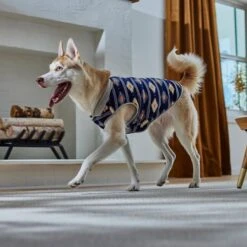 Frisco Lightweight Southwest Dog & Cat Polar Fleece Vest -Pet Supplies Discount Store 268167 PT8. AC SS1800 V1629756292