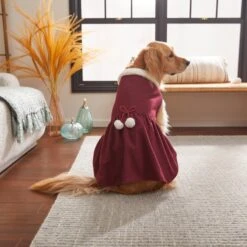 Frisco Mediumweight Pom Pom Bow Dog & Cat Peacoat Dress, Red -Pet Supplies Discount Store 268200 PT8. AC SS1800 V1629757410