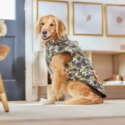 Frisco Mediumweight Camo Print Insulated Dog & Cat Zippered Coat, Green -Pet Supplies Discount Store 268295 PT8. AC SS1800 V1629755320