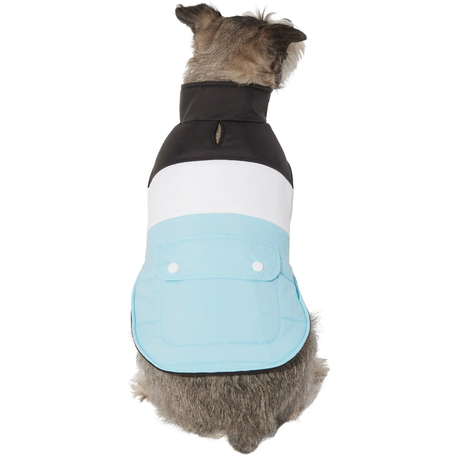 Frisco Mediumweight Colorblock Insulated Dog & Cat Puffer Coat With Pocket, Blue 3 Frisco Mediumweight Colorblock Insulated Dog & Cat Puffer Coat With Pocket, Blue
