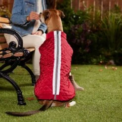 Frisco Mediumweight Reflective 2-in-1 Dog & Cat Fleece Coat -Pet Supplies Discount Store 268359 PT8. AC SS1800 V1629759326